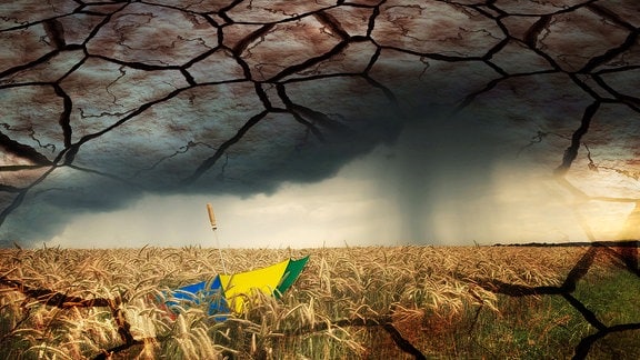 Collage: Bunter Regenschirm im Getreidefeld bei aufziehendem Gewitter und ausgetrockneter Boden