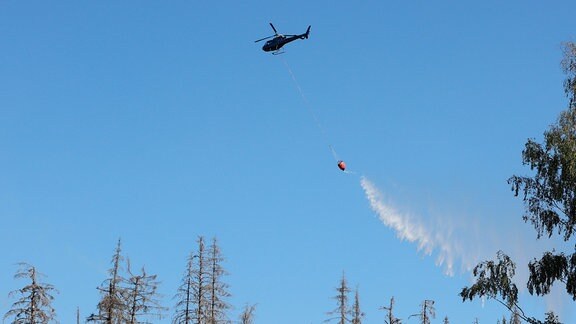 Einsatzkräfte unterstützen die Brandbekämpfung im Einsatzgebiet im Harz.