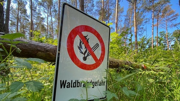 Ein Schild „Waldbrandgefahr“ hängt in einem Wald.