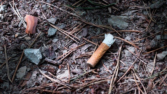 Ein Zigarettenstummel liegt auf einem Waldweg. 