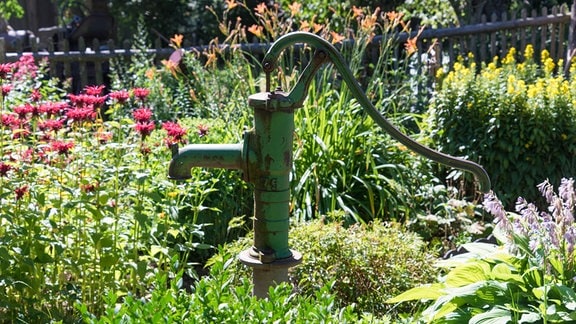 Eine Wasserpumpe in einem Bauerngarten