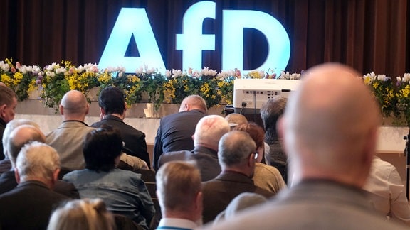 Delegierte des Landesparteitages der sächsischen AfD sitzen in einem Saal der Sachsenlandhalle. 