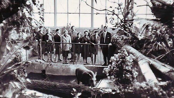 Die Aufnahme von 1968 zeigt Besucher im Tropenhaus des Zoos Hoyerswerda vor einem Gehege