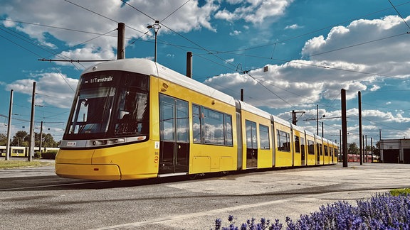 Eine gelbe Straßenbahn steht auf einem Platz. 