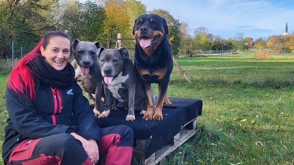 Eine Frau sitzt mit drei Hunden auf einem Podest eines Hundesportplatzes.