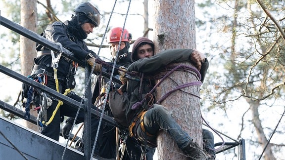 Polizisten entfernen von einer Hebebühne aus in einem besetzten Waldgebiet in der Laußnitzer Heide einen Aktivisten der Initiative «Heibo bleibt» von einem Baum. 