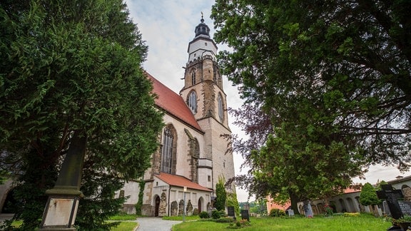 Die Evangelische Hauptkirche St. Marien in Kamenz