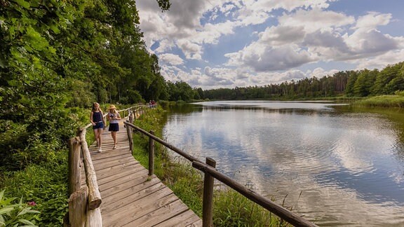 Zwei Personen laufen am See der Freundschaft im Naturschutzgebiet Königsbrücker Heide entlang.