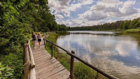 See der Freundschaft im Naturschutzgebiet Königsbrücker Heide