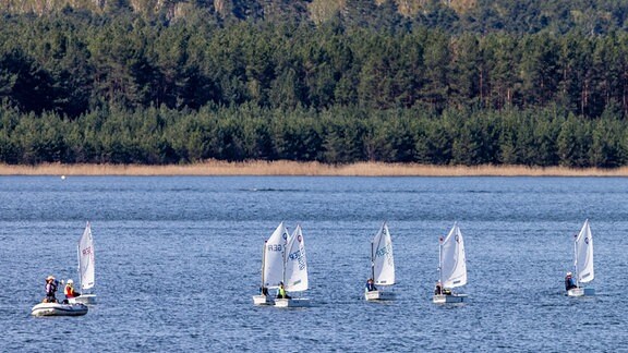 Segelboote fahren über den Geierswalder See an der Grenze zwischen den Bundesländern Brandenburg und Sachsen.