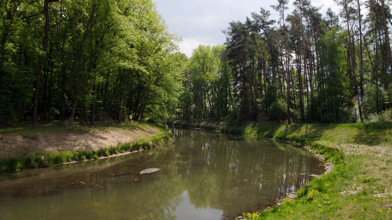 Ruckkehr Der Spree Ins Alte Bett Mdr De