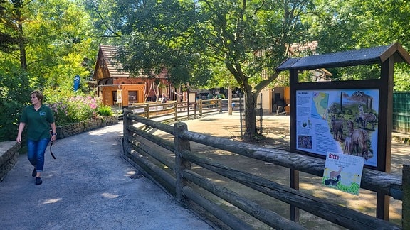 Frau läuft durch den Tierpark Bischofswerda