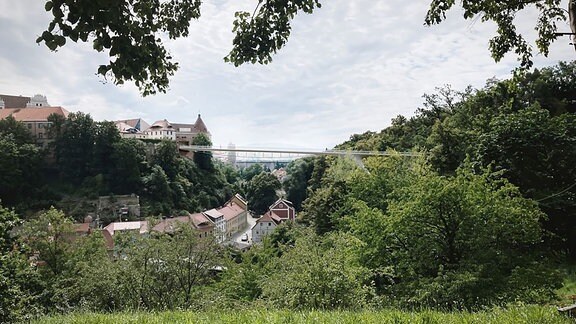 Eine filigrane Brücke überspannt ein Tal in der Stadt Bautzen. Unter der Brücke führt eine Straße lang, an der Häuser stehen.