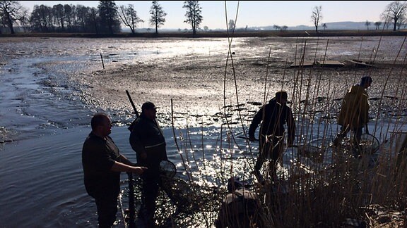 Die Fischteiche in Kodersdorf