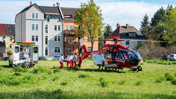 Helikopter auf Wiese vor Wohnhaus in Zittau