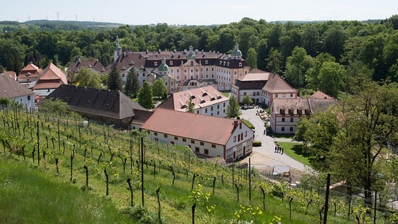 Das Kloster St. Marienthal, eine barocke Anlage umgeben von Grün.