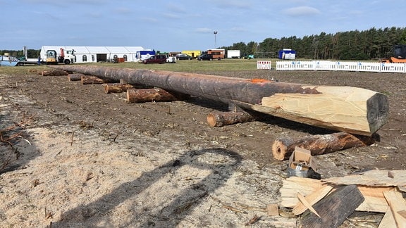 Ein Baumstamm liegt auf kleineren Holzstücken.