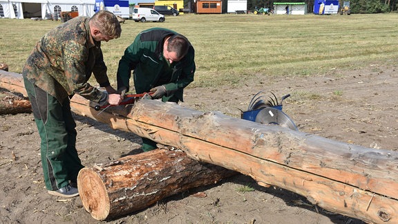 Zwei Männer arbeiten an einem Baumstamm.