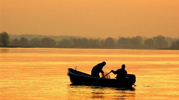 Während die aufgehende Sonne am frühen Morgen die Oderlandschaft in ein rötliches Licht färbt, heben zwei Fischer auf dem deutsch-polnischen Grenzfluss eine Reuse.