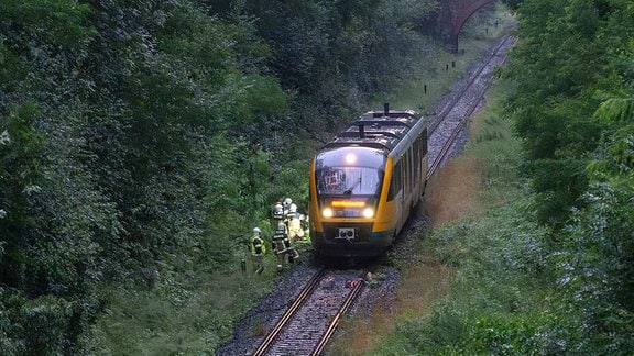 Eine Regionalbahn steht mitten im Wald umgeben von Rettungskräften