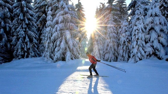 Ein Langläufer dreht im Skistadion von Mühlleithen seine Runden.
