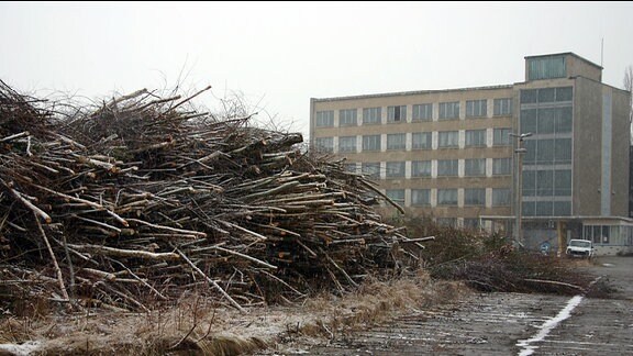 Gelände der künftigen JVA in Zwickau. Ein leerstehendes Hochhaus und gerodete Bäume im Vordergrund