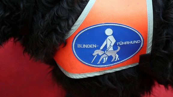 Ein Hund mit dunkelbraunem Fell trägt eine orange Weste mit blau-weißem Aufdruck. "Blindenführhund" ist zu lesen.