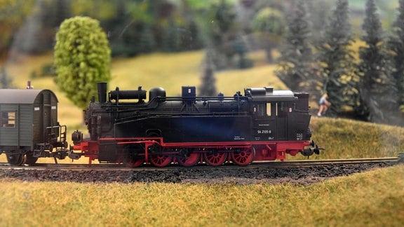 Ein Modellzug mit Dampflokomotive fährt bergauf.