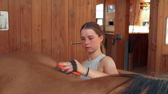 Ein Mädchen striegelt ein Pferd
