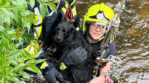 Feuerwehrwehrfrau wird mit schwarzen Hund im Arm aus Fluss hochgezogen. 