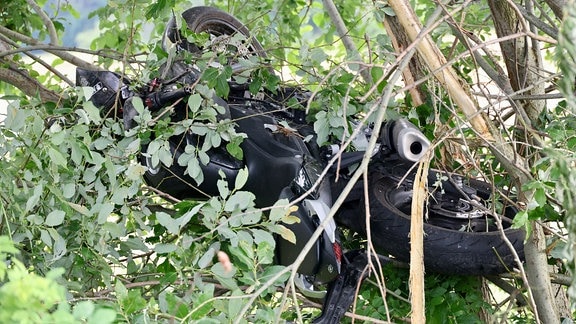 Ein schwarzes Motorrad hängt nach einem Unfall auf den Ästen eines belaubten Baumes.