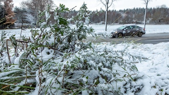 Ein Auto fährt durch eine verschneite Landschaft.