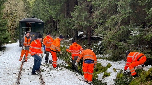Helfer in orangenen Anzügen beseitigen umgestürzte Bäume von Eisenbahngleisen.