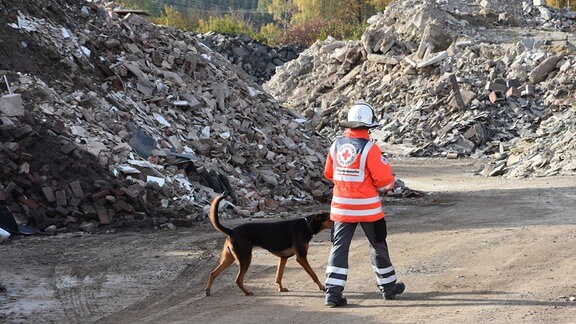 Eine Frau mit Helm und orengefarbener DRK-Jacke führt einen Hund durch Trümmerberge.