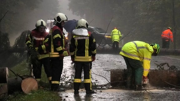 Feuerwehrleute stehen im strömenden Regen und räumen eine Straße von einem umgestürzten Baum frei.