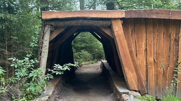 Ein künstlicher Tunnel, der an einen Bergwerksstollen erinnert, steht an einem Waldweg