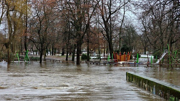 Ein Spielplatz und Bäume, die vom Wasser überspült worden sind.