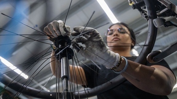 Génesis Morenos aus Venezuela ist mit dem Einspeichen von Rädern in der Produktion des Fahrradherstellers Diamant in Hartmannsdorf beschäftigt. 