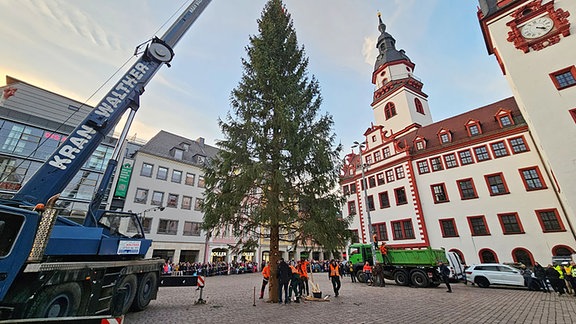 Ein Weihnachtsbaum wird auf dem Markt in Chemnitz mit einem Kran aufgestellt. 