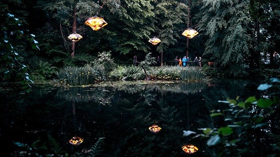 Lichtinstallation über einem Teich im Wald bei Zwönitz