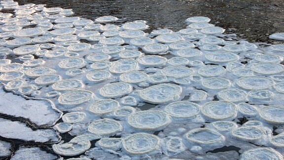 Tellerförmig gefrorener Schaum auf einem Fluss