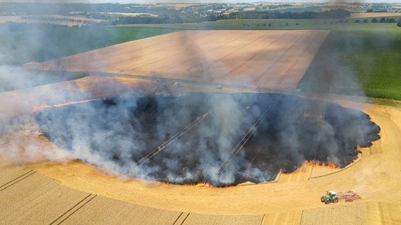 Ein erntereifes Feld brennt.