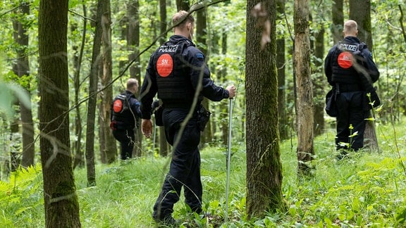 Polizisten durchkämmen bei der Suche nach einer vermissten Grundschülerin ein Waldstück. 