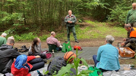 Aktivurlaub beim Bergwald im Osterzgebirge