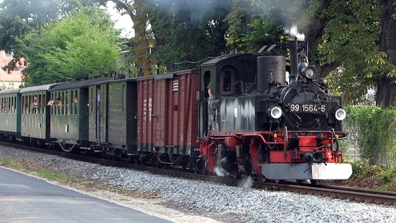 Schmalspurbahn 