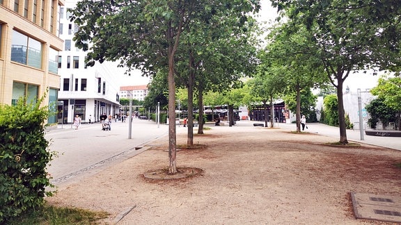 Fußgängerzone mit Bäumen in der Chemnitzer City.