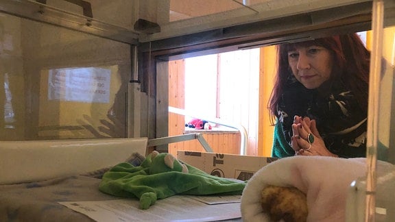 Cathrin Schauer-Kelpin, Chefin des Vereins KARO in Plauen, blickt in eine geöffnete Babyklappe