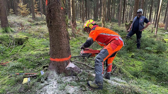 Ein Mann fällt einen Baum