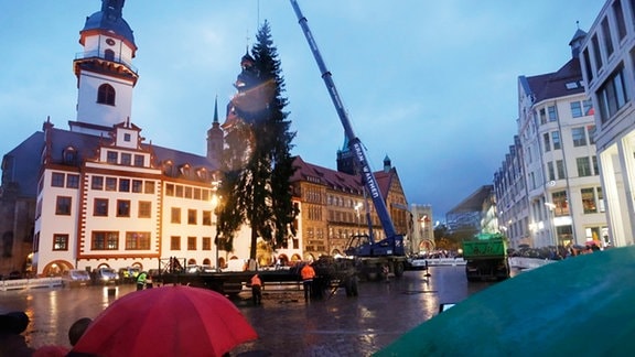 Eine lange Weihnachtsfichte hängt am Haken eines Transporters auf dem Chemnitzer Marktplatz.