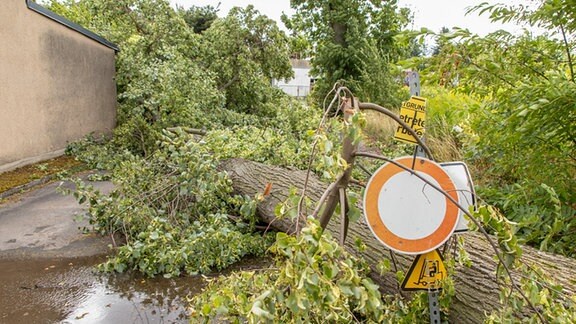 Ein großer Baum ist umgestürzt und hat ein Gebäude gestreift. Nun ist eine Straße und der Zugang zum Haus in GErsdorf bei Zwickau gesperrt. Die Feuerwehr muss am 3.8.2023 anrücken und das Holz beseitigen.